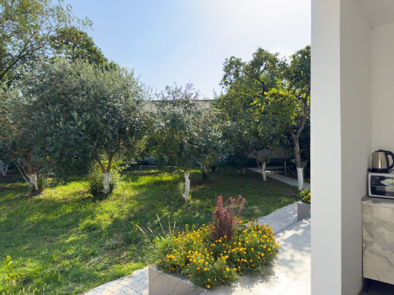 ДАМИРА ОТЕЛЬ В ЦЕНТРЕ ГОРОДА