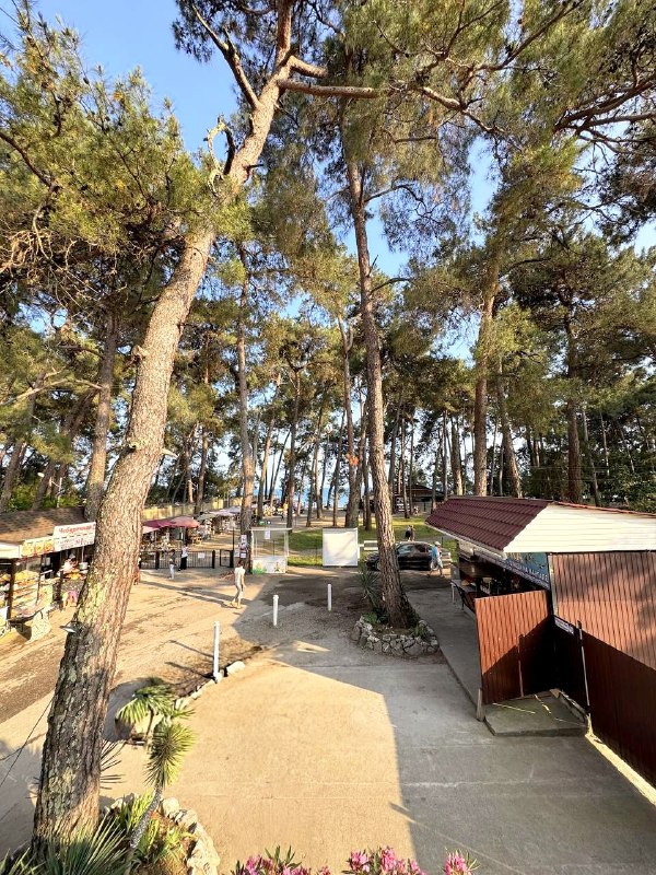 МИКА ГОСТЕВОЙ ДОМ ЭКОНОМ