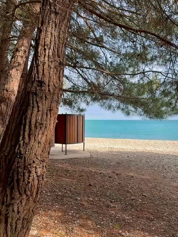 ПШАДА ОТЕЛЬ С ПИТАНИЕМ У СОСНОВОГО ПЛЯЖА