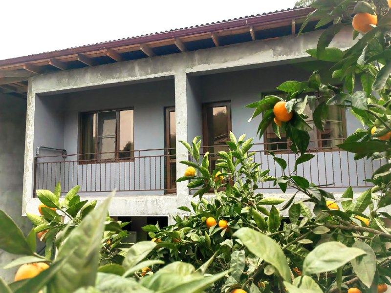 БАНАН И ФУНДУК ГОСТЕВОЙ ДОМ фото 5