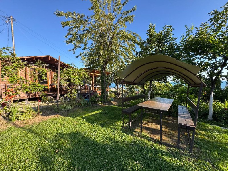 ДЕЛЬФИН ДОМИКИ фото 7