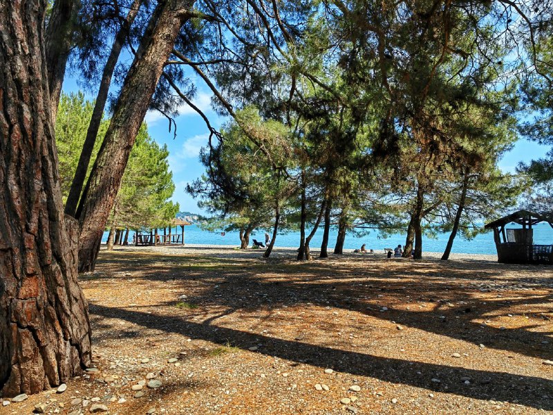 ГРАНТ АПАРТАМЕНТЫ фото 9