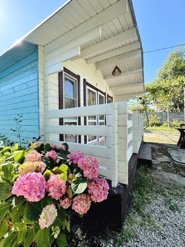 КАМЕЛИЯ фото 5