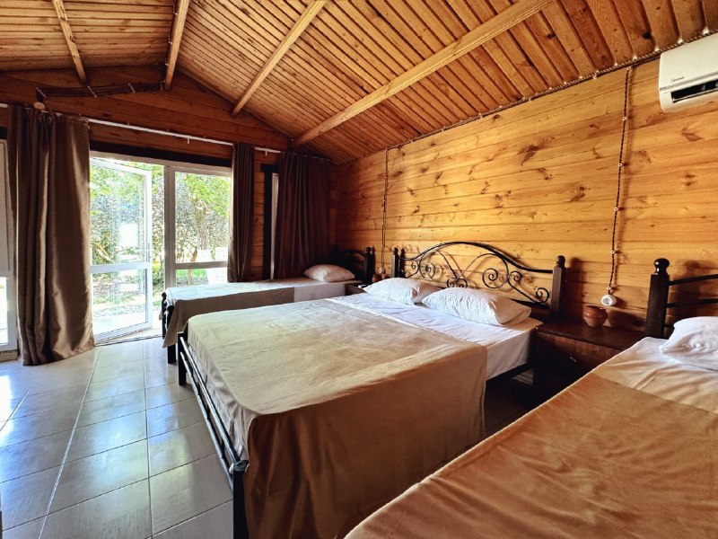 КАМЕЛИЯ фото 7