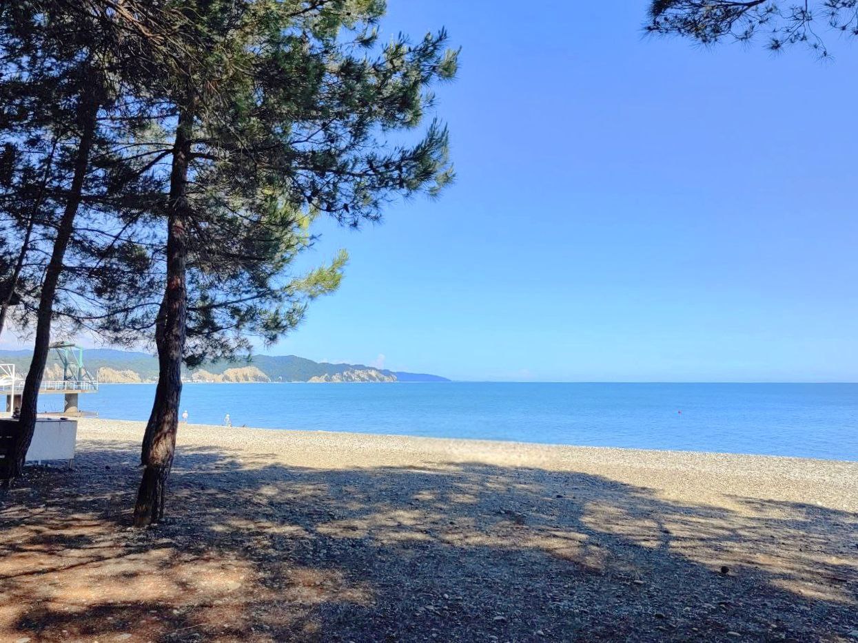 "КАМЕЛИЯ" домики фото 9