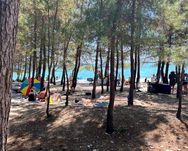 КАВО ДЕ БУКСО ДОМИКИ фото 9