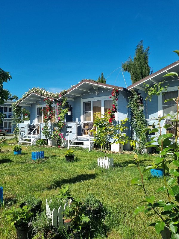 ЛАВАНДА ВИЛЛА С БАССЕЙНОМ фото 5