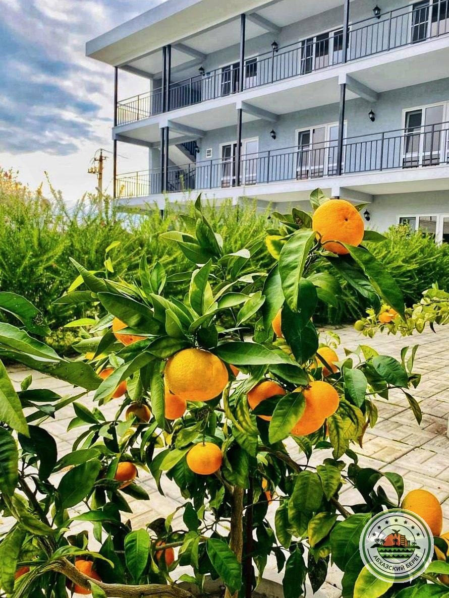 "МАНДАРИН" ОТЕЛЬ У СОСНОВОГО ПЛЯЖА С ЗАВТРАКАМИ фото 1