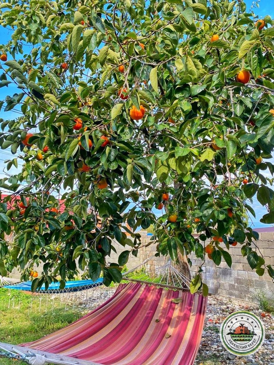 "МАЯК" гостевой дом фото 9