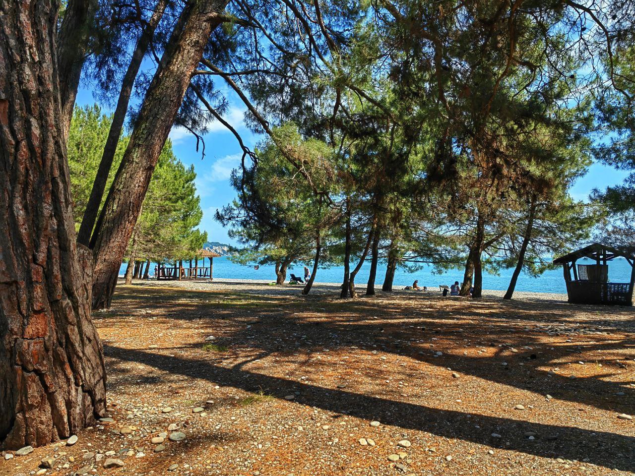 "МИКА" гостевой дом эконом фото 9