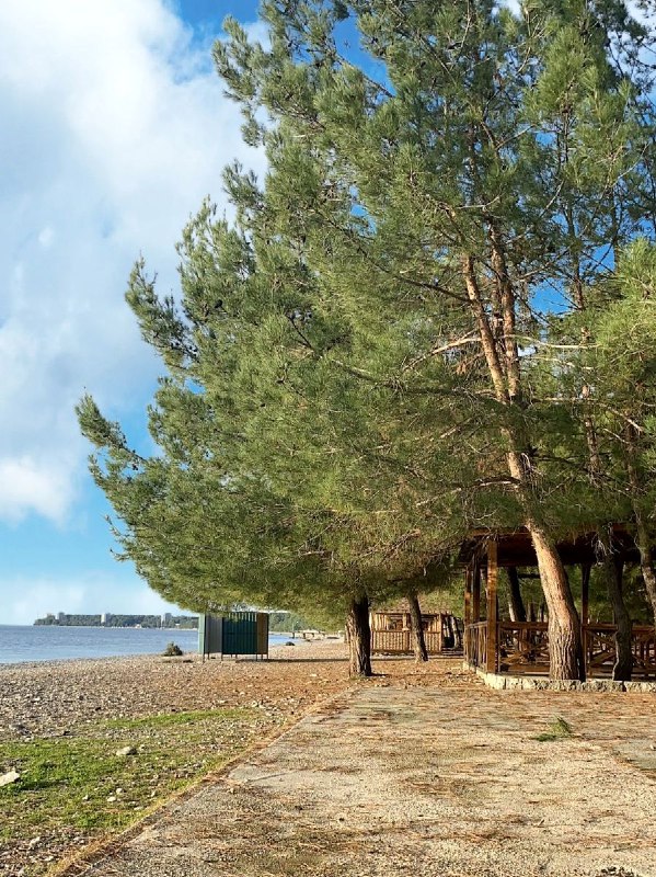 РАНЧО ЭЛИВЕЛ МИНИ-ОТЕЛЬ фото 9