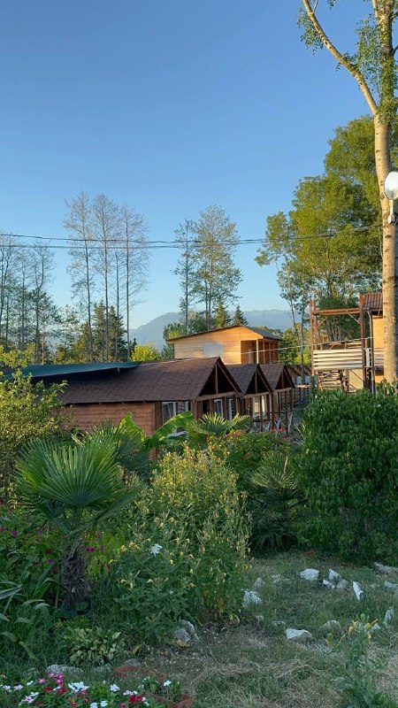 САМШИТ ДОМИКИ И НОМЕРА У ЗАПОВЕДНИКА фото 7