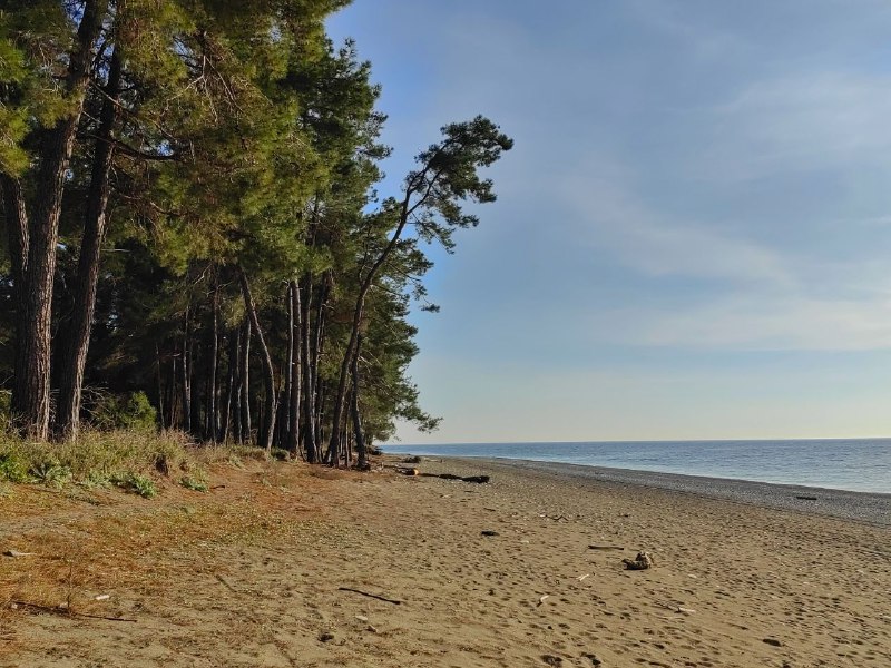 САМШИТ ДОМИКИ И НОМЕРА У ЗАПОВЕДНИКА фото 8
