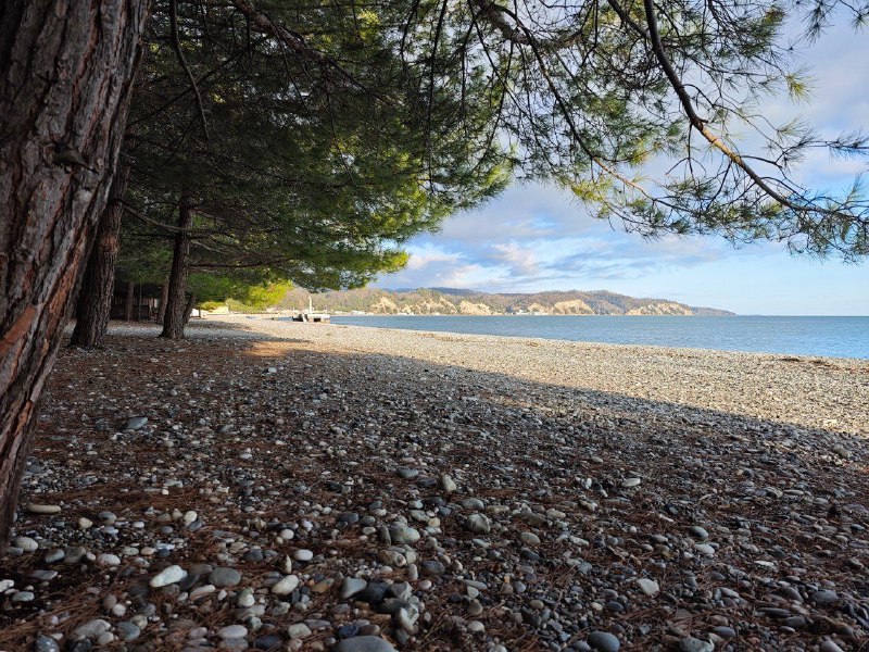 СИРИУС ОТЕЛЬ У СОСНОВОГО ПЛЯЖА фото 9