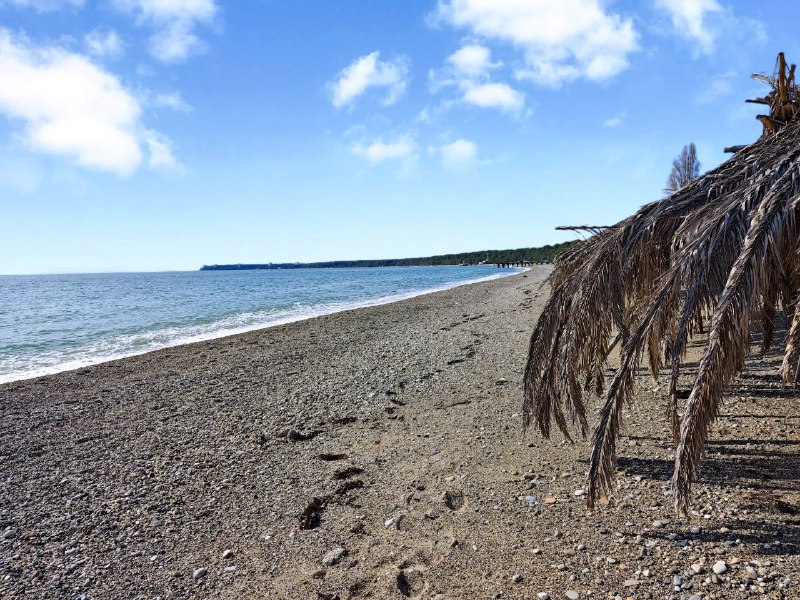 СИЗОН ГОСТЕВОЙ ДОМ фото 9