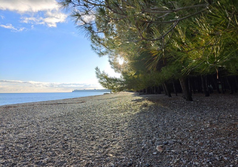 ТИС КОТТЕДЖИ У ЗАПОВЕДНИКА фото 8