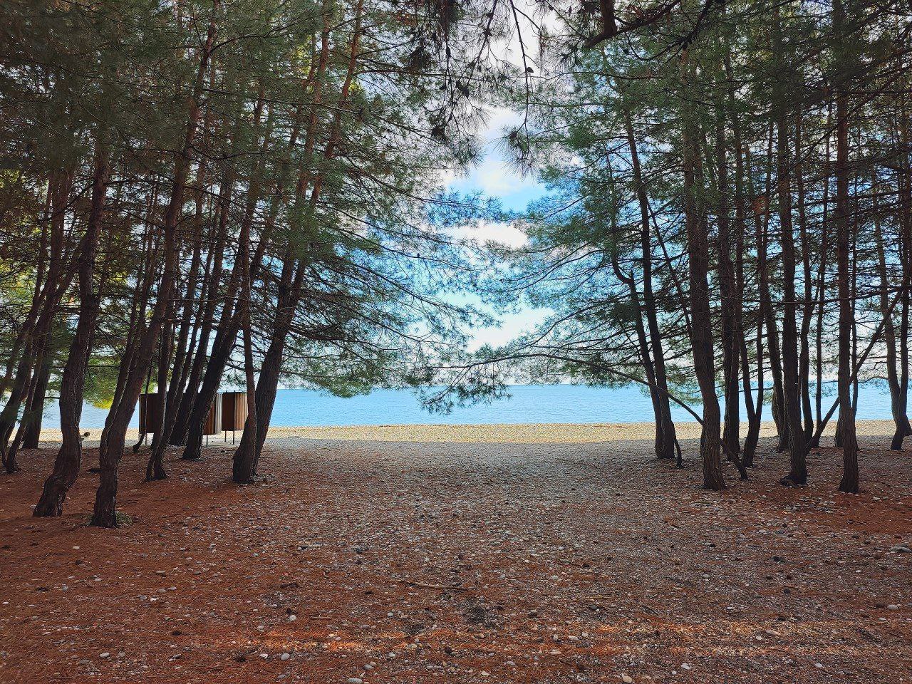 "ТИС" мини-отель у заповедника фото 8