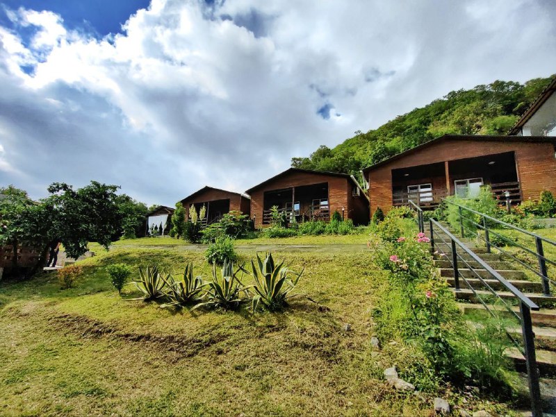 ЗЕЛЕНЫЙ ДВОРИК ДОМИКИ И НОМЕРА фото 4