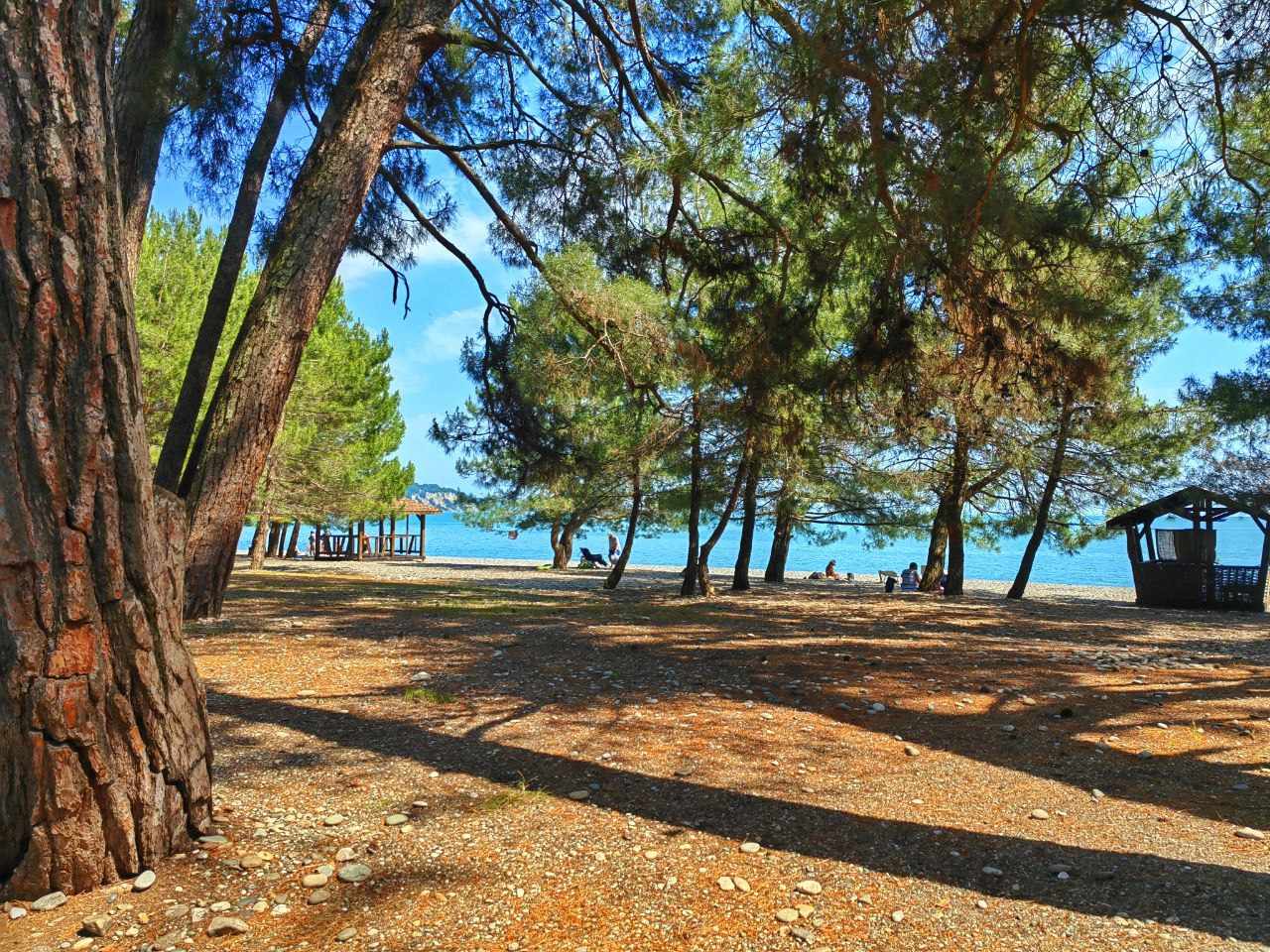 "АРГО" квартира 1к📍Пицунда