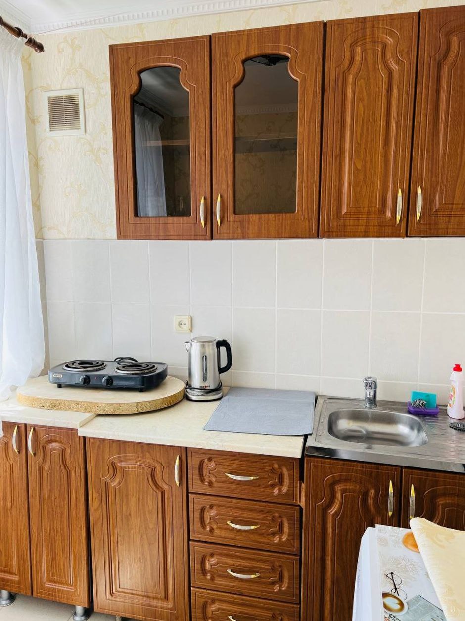 "АНИСА" КВАРТИРА 1К фото 3