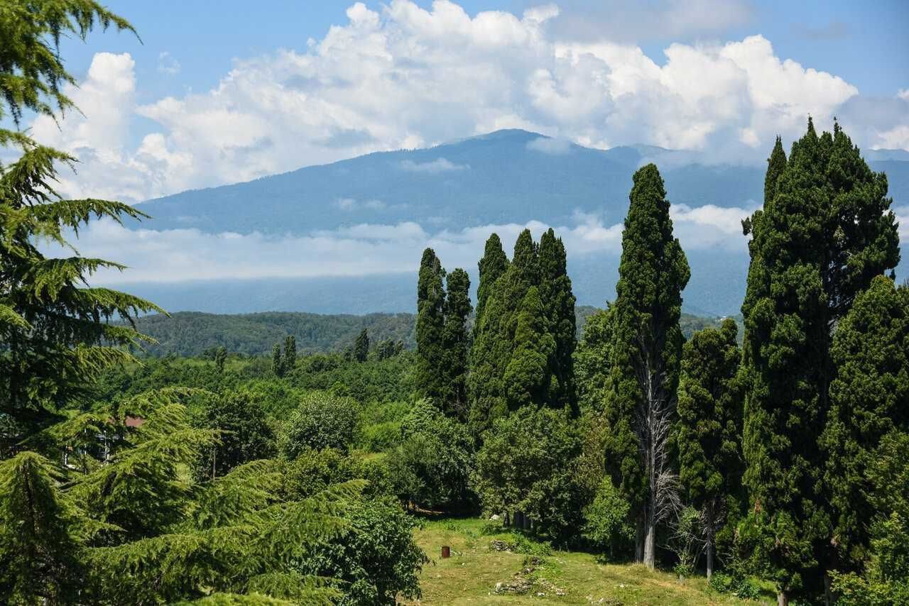 "АРГО" КВАРТИРА 1-К фото 1