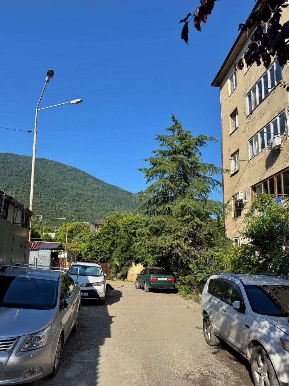 "МАГНОЛИЯ" КВАРТИРА 3К фото 1